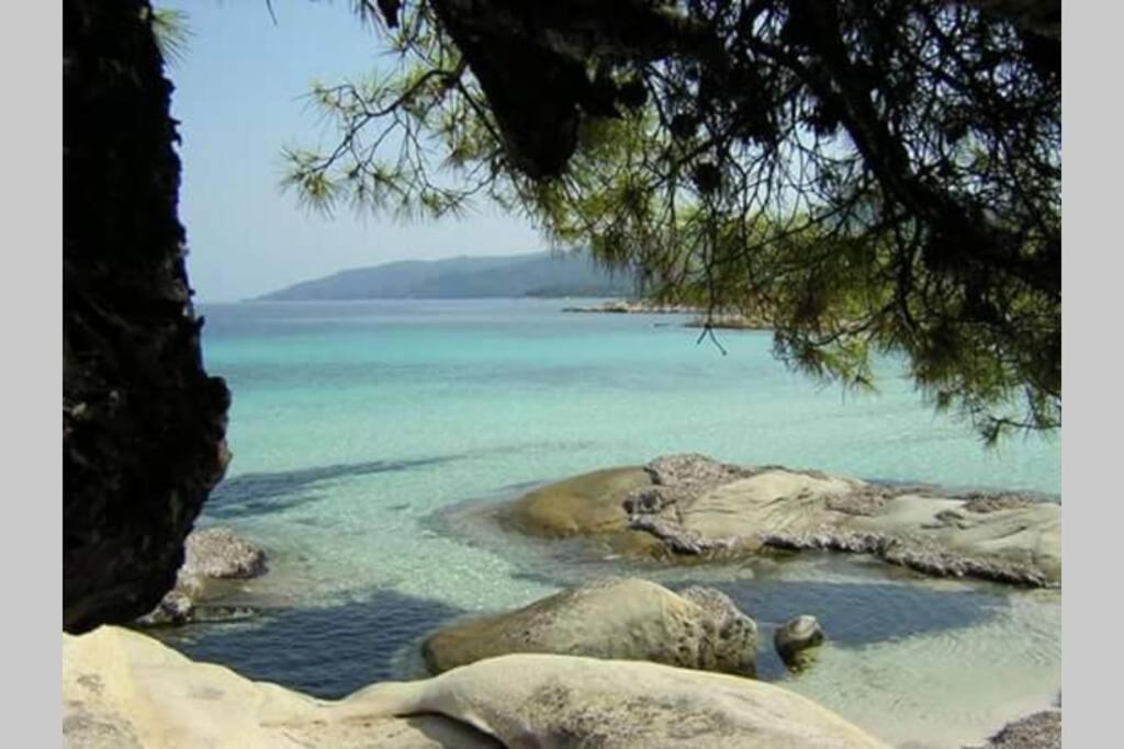 Apartment Plateia Agios Nikolaos (Chalkidiki)