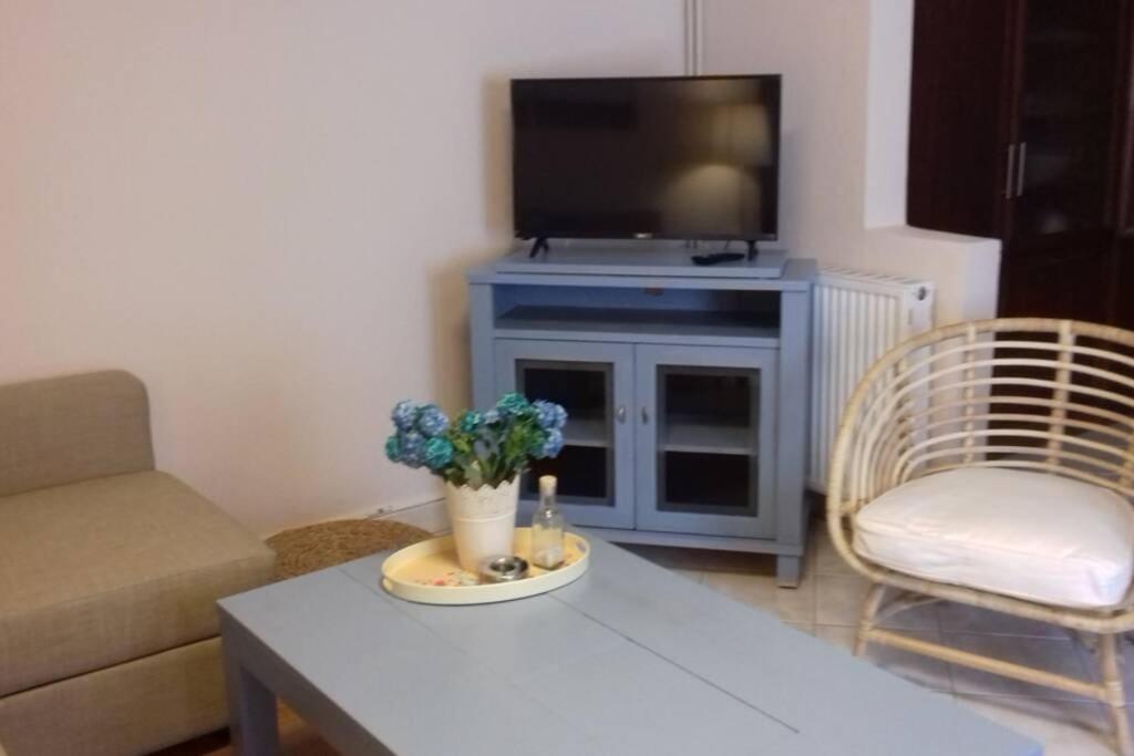 Apartment Plateia *